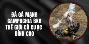Đá Gà Mạng Campuchia BK8 – Thế Giới Cá Cược Đỉnh Cao